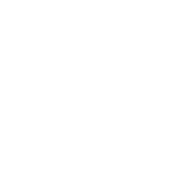 Linkedin Icon